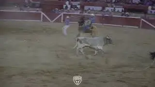 El An&oacute;nimo vs Los Desobedientes de Irapeo en la Monumental de Morelia 23 Abril