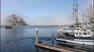 Justin Express Software Live Stream