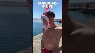 Хорватия  Карлобаг отдыхаем на море пошли смотреть на косяк рыб #shorts