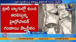 శంషాబాద్ విమానాశ్రయంలో 9.5 కోట్ల గంజాయి స్వాధీనం | 9.5 Cr Worth Ganja Seized at Shamshabad Airport