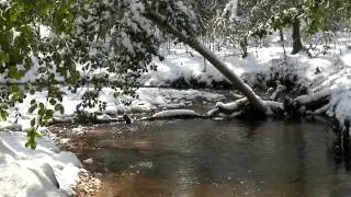 Winter Bliss