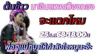 ต้นข้าวบุกกรุง พ่อๆแม่ๆFcจ๋ามาให้กำลังใจหนูมากๆนะจ๊ะ