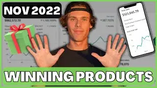 Top 10 Winning Shopify Dropshipping Products For November 2022 [$100K Potential] 🌟