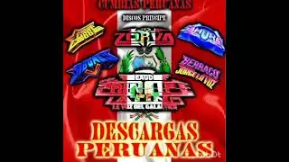 Cumbia tu tabaco tabaquera limpia el jefe del acetato del vinil príncipe latino 