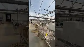 Westbrook Gutter Connect 5-Bay Greenhouse
