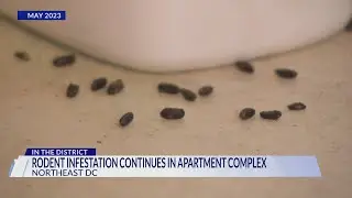 Residents of Northeast DC apartment complex demand action on dozens of housing violations