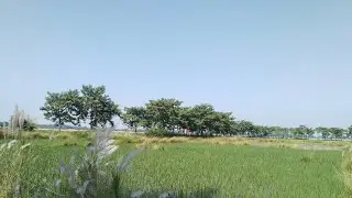 My fast vlogs village me 🥰 #vlog #vlogs #soravjoshivlogs @souravjvlogs 