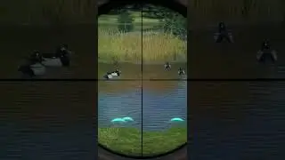 #thehuntercallofthewildgameplay #duckhunting #gaming #hunting