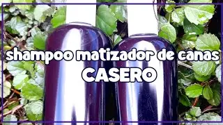 Shampoo negro matizador de canas 𝐂𝐀𝐒𝐄𝐑𝐎