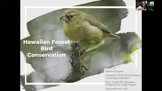 Rachel Kingsley: Careers in Conservation (Watershed Protection)