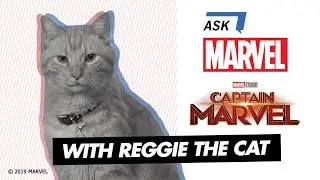 Goose the Cat of Marvel Studios' Captain Marvel | Ask Marvel