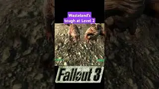 Wasteland's tough at Level 2 #fallout #fallout3 #fallout3memes #xboxseriesx #gaming