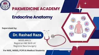 Endocrine Anatomy | High-Yield First Aid | NRE, MBBS, FCPS, USMLE Step 1
