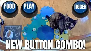 Emma Uses a New Button Combo with her Sitter! 