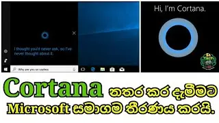 Microsoft decides to discontinue Cortana app - SL Tech api