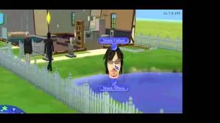 Sims guns