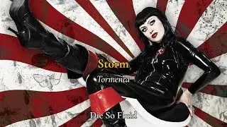 Storm &mdash; Die So Fluid | Lyrics/Traducci&oacute;n