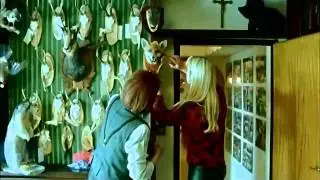 Das Beste aus dem österreichischen Film: Import Export