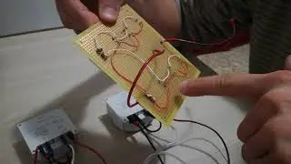 Porta automatica per pollai
