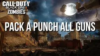 Pack A Punching All Guns In BO2 Zombies (PART ONE)