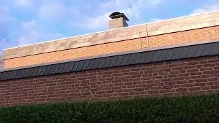 🏡 Reiheneckhaus mit gro&szlig;em Traumgarten &ndash; jetzt entdecken & verlieben! 🏡
