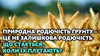ЗЕМЛЯ НЕ РОДИТЬ? А ЩО ОЗНАЧАЄ РОДЮЧІСТЬ ҐРУНТУ НА ВАШУ ДУМКУ? Частина 1