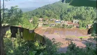 Kebun produksi L 7.400m2 hrg cuman 165juta  durian petai pala pisang cengkeh view mantap