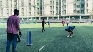 Weekend Cricket 🏏 | Shorts, Highlights & Movements!!