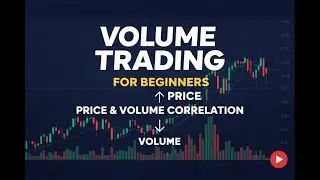Volume Trading for Beginners | Price & Volume Correlation
