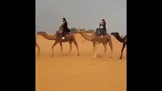 Morocco camel trekking