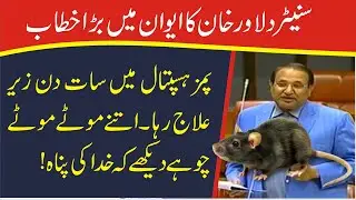 Senator Dilawar Khan Disclosed Much About PIMS Hospital || Big Mices Seen In Hospital
