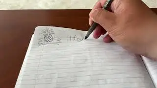 Drawing Honolulu Cookie Company (part 2)