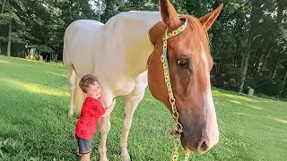 When A Little Boy Meets a Giant Horse&hellip;  A Beautiful Friendship Begins