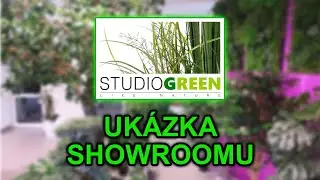 Showroom umělých rostlin, zelených stěn a mechů v Praze - STUDIOGREEN.CZ