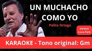 UN MUCHACHO COMO YO - Palito Ortega / Karaoke instrumental ( Versión Luna Park)