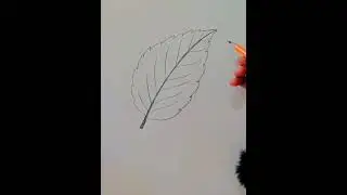 How to draw leaf /easy drawing for beginners/Easy Art Corner