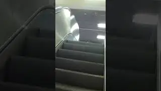 Efficiency and Elegance: Exploring Thyssen Escalators at M&auml;larh&ouml;jden Subway Station