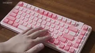 Gentle Keyboard Typing Sounds | No Talking | Calm ASMR