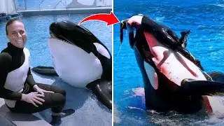 The TERRIFYING Story of Orca Trainer Jessica Radcliffe