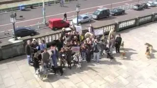 Demo for dog rights