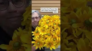 Do you grow Prairie Sun? Comment CALENDAR or head to TheGardenersWorkshop.com to preorder my guide