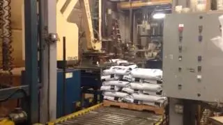 Fuji robot palletizer