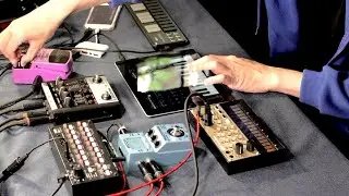Dawless Ambient Jam🌱 // Korg iMS-20 | iPolysix | SQ-1 | Volca Keys | Zoom MS-70CDR [2023-06-19]