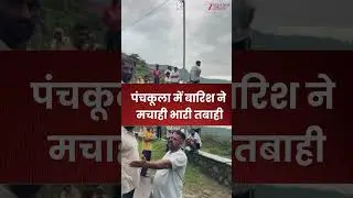 Panchkula Rain  : पंचकूला में बारिश ने मचाही भारी तबाही | Bridge Collapse  | Heavy Rainfall