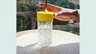 Sippy cups for adults solutions silicone cup lid