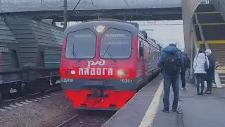 |ЛАДОГА| Электропоезд ЭД4М-0381 Прибывает на станцию Ржевка