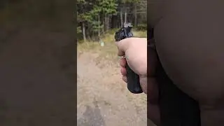 Crosman Vigilante CO2 Pellet/BB Pistol