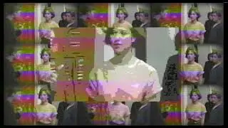 Susan's Strange | The Psychedelic Furs