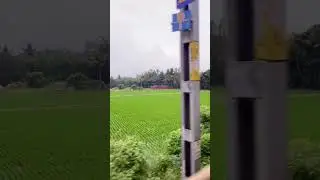 🚂 Train Travel Through Green Paddy Fields | Jalakaari Song BGM | Balti Movie Cinematic Short 🌾✨