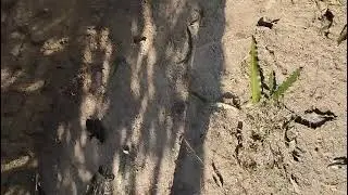 My new block #shortvideo #video 